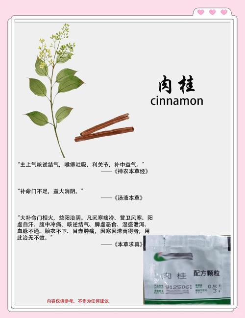 肉桂的药用价值？肉桂的主要功效和作用及禁忌？-第6张图片-优品飞百科