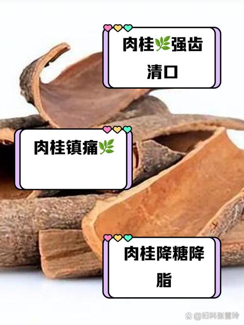 肉桂的药用价值？肉桂的主要功效和作用及禁忌？-第7张图片-优品飞百科
