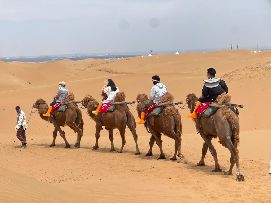 赤峰翁牛特旗天气预报，赤峰市翁牛特旗今晚天气预报-第5张图片-优品飞百科