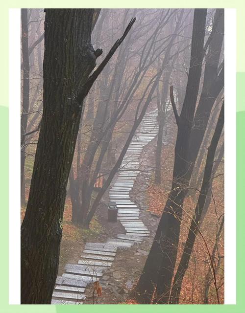 长春市双阳区天气预报，长春市双阳区天气预报30天天气预报？