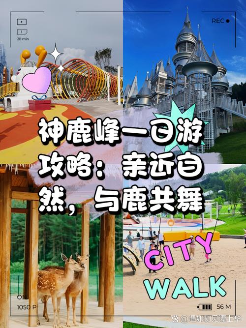 长春市双阳区天气预报，长春市双阳区天气预报30天天气预报？-第6张图片-优品飞百科