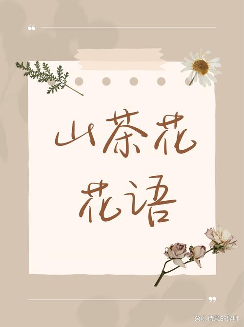 茶花的花语，茶花的花语和寓意-第3张图片-优品飞百科