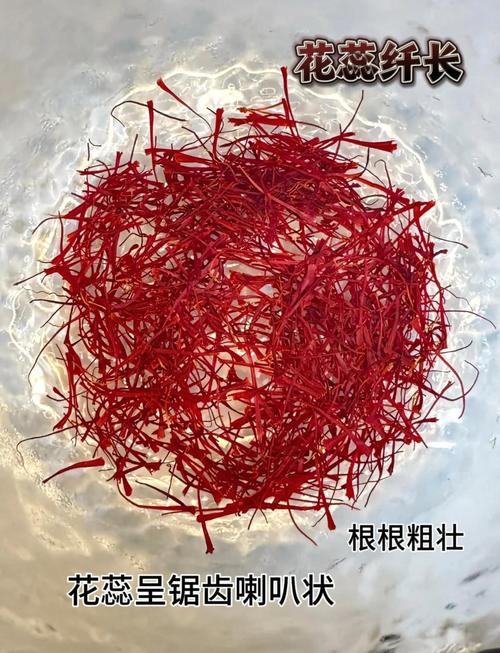 藏红花怎么辨别真假，几种辨别真假的方法，藏红花辨别真伪-第2张图片-优品飞百科