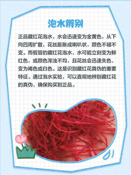 藏红花怎么辨别真假，几种辨别真假的方法，藏红花辨别真伪-第6张图片-优品飞百科