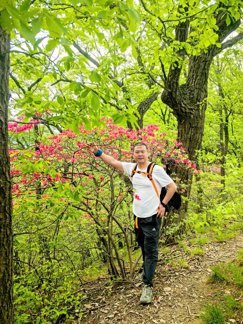 西泰山天气预报?西泰山温度多少?-第7张图片-优品飞百科 西泰山天气预报?西泰山温度多少?-第7张图片-优品飞百科