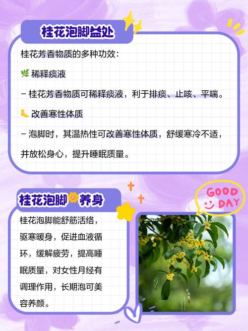 桂花的功效与作用?玫瑰花的功效与作用?-第1张图片-优品飞百科 桂花的功效与作用?玫瑰花的功效与作用?-第1张图片-优品飞百科