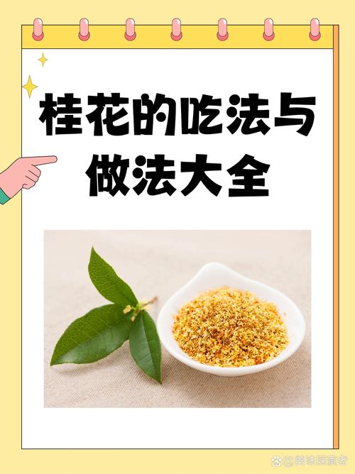 桂花的功效与作用?玫瑰花的功效与作用?-第2张图片-优品飞百科 桂花的功效与作用?玫瑰花的功效与作用?-第2张图片-优品飞百科