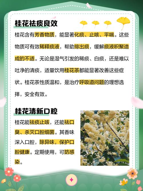 桂花的功效与作用?玫瑰花的功效与作用?-第5张图片-优品飞百科 桂花的功效与作用?玫瑰花的功效与作用?-第5张图片-优品飞百科