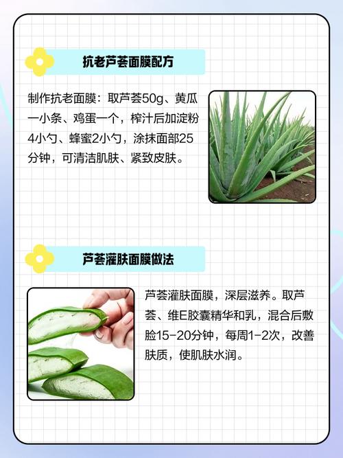 芦荟怎样做面膜，芦荟能祛斑吗，芦荟怎样做面膜,芦荟能祛斑吗视频-第2张图片-优品飞百科