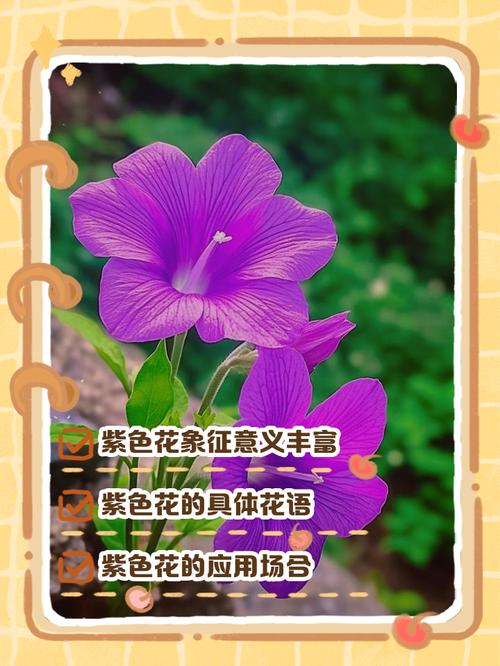 彼岸花的寓意，紫蓝色彼岸花的寓意，紫色彼岸花代表什么意思-第2张图片-优品飞百科