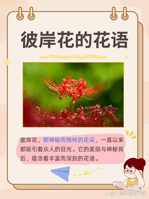 彼岸花的寓意，紫蓝色彼岸花的寓意，紫色彼岸花代表什么意思-第3张图片-优品飞百科