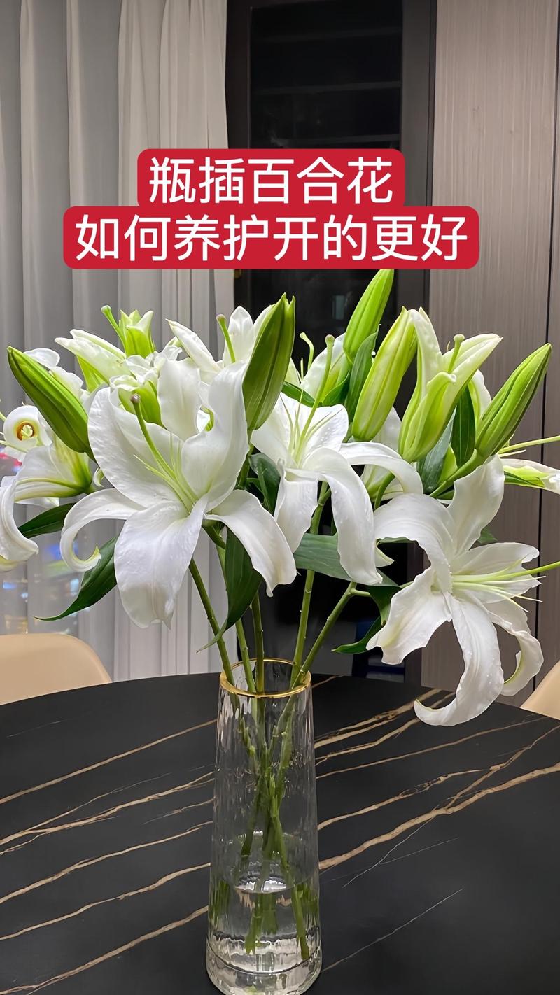 家居百合花花瓶插花，百合花插瓶图片 插花-第2张图片-优品飞百科