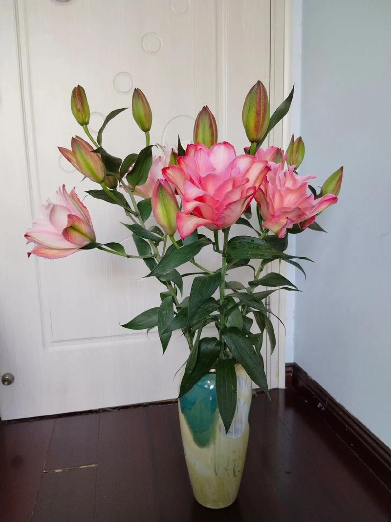 百合花能放客厅吗，百合花可以放客厅吗？-第2张图片-优品飞百科