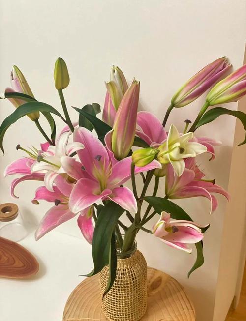 百合花能放客厅吗，百合花可以放客厅吗？-第6张图片-优品飞百科