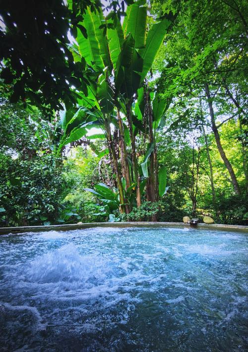 歇马天气预报?歇马天气预报一周?-第1张图片-优品飞百科 歇马天气预报?歇马天气预报一周?-第1张图片-优品飞百科