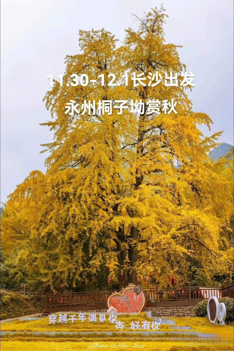 歇马天气预报?歇马天气预报一周?-第5张图片-优品飞百科 歇马天气预报?歇马天气预报一周?-第5张图片-优品飞百科