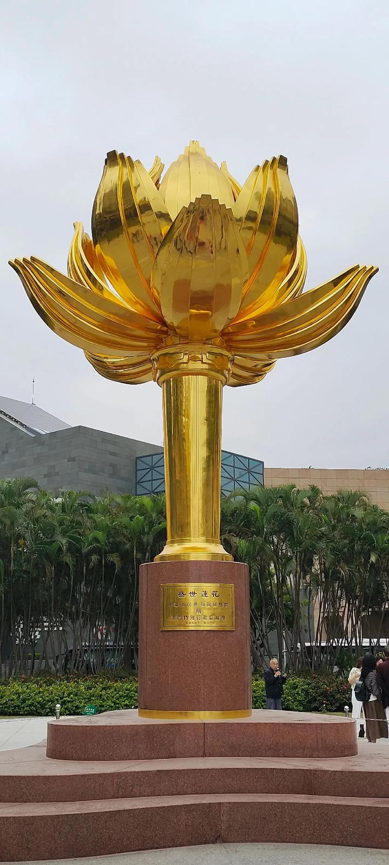 香港旗帜是什么花，有什么象征意义，香港旗帜的由来-第5张图片-优品飞百科