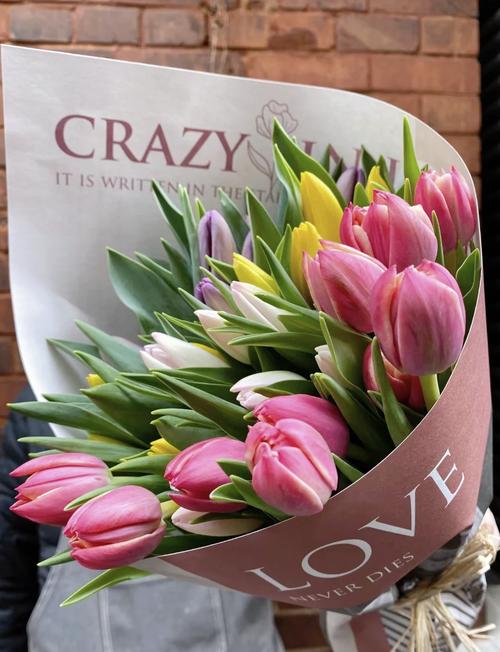 郁金香有什么样的故事呢？郁金香 故事？-第1张图片-优品飞百科