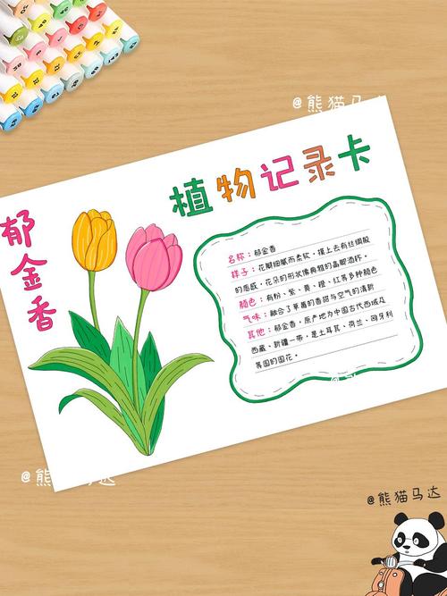 郁金香有什么样的故事呢？郁金香 故事？-第5张图片-优品飞百科