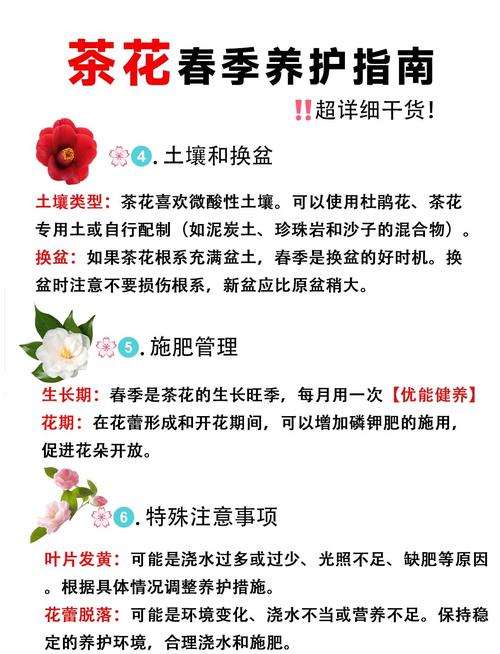 茶花如何养才能长的好，茶花的养殖方法，茶花要如何养？-第2张图片-优品飞百科