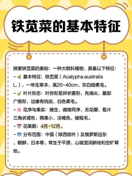 狗尾红的功效和作用,红色狗尾草有毒吗?-第1张图片-优品飞百科 狗尾红的功效和作用,红色狗尾草有毒吗?-第1张图片-优品飞百科