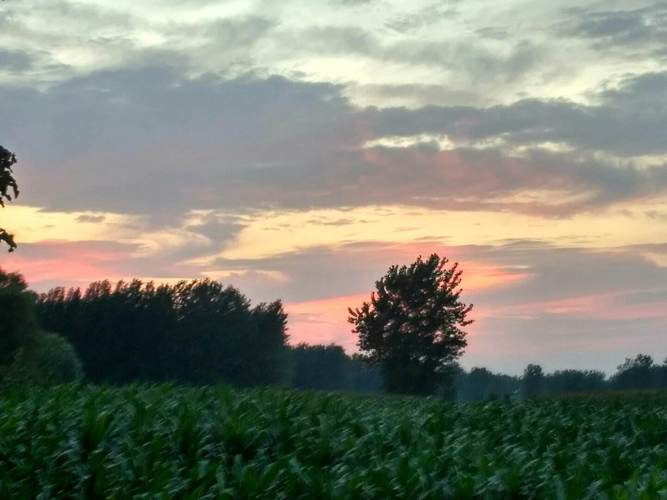 阜阳临泉天气预报，阜阳临泉天气预报v？-第1张图片-优品飞百科