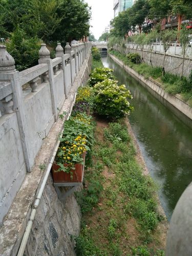 阜阳临泉天气预报，阜阳临泉天气预报v？-第7张图片-优品飞百科