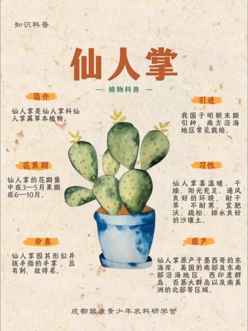 仙人掌真的能吸收辐射吗？仙人掌可不可以吸收辐射？-第3张图片-优品飞百科