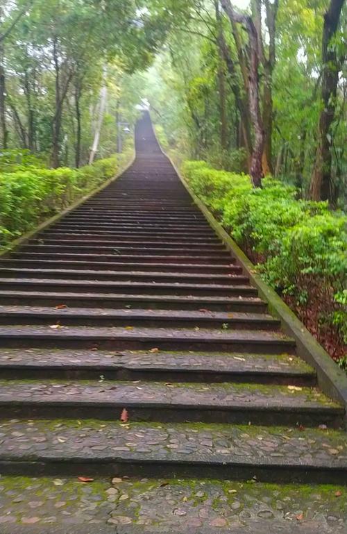 仙人掌真的能吸收辐射吗？仙人掌可不可以吸收辐射？-第7张图片-优品飞百科