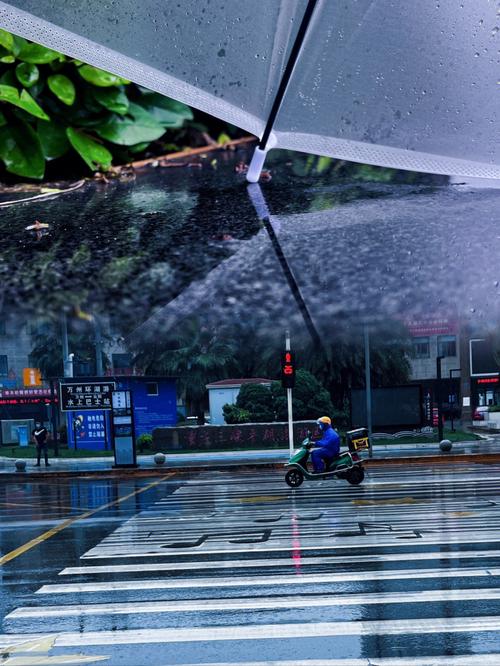 天气预报诸暨？诸暨天气预警？-第5张图片-优品飞百科