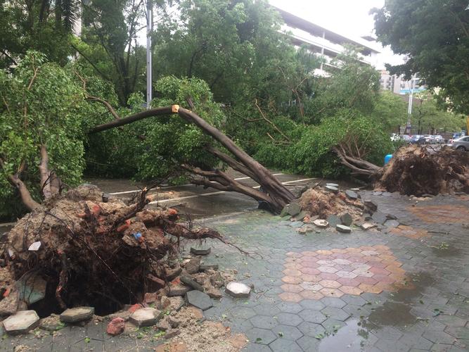 沈阳沈北新区天气预报，沈阳沈北新区天气预报15天查询百度？-第2张图片-优品飞百科