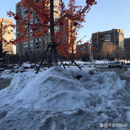 沈阳沈北新区天气预报，沈阳沈北新区天气预报15天查询百度？-第4张图片-优品飞百科