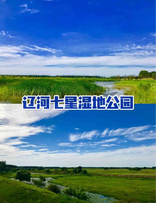 沈阳沈北新区天气预报，沈阳沈北新区天气预报15天查询百度？-第5张图片-优品飞百科