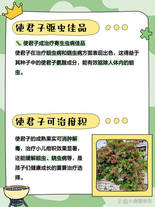 使君子有毒吗?使君子有毒吗 本草纲目?-第1张图片-优品飞百科 使君子有毒吗?使君子有毒吗 本草纲目?-第1张图片-优品飞百科