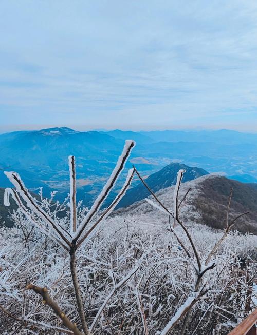 杭州余杭天气预报，杭州余杭天气预报40天？-第1张图片-优品飞百科