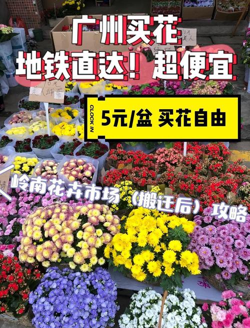 这8种花，夏天泡水喝，连药钱都省了！，适合泡水喝的花？-第5张图片-优品飞百科