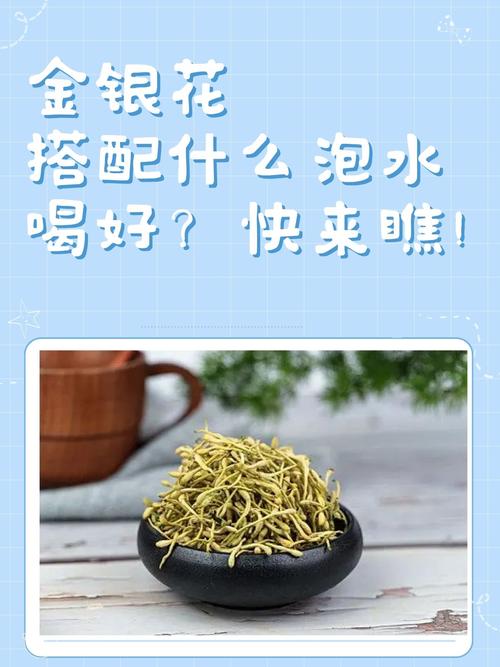 这8种花，夏天泡水喝，连药钱都省了！，适合泡水喝的花？-第6张图片-优品飞百科