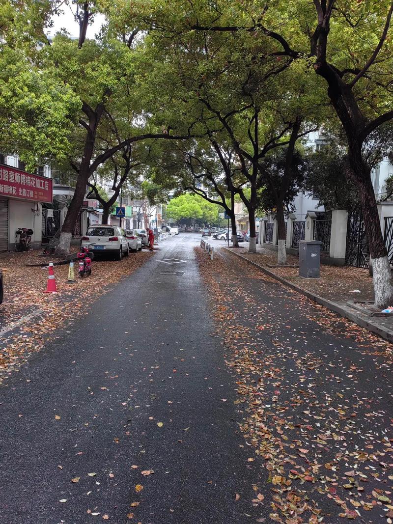 杭州今天天气预报?浙江杭州今天天气预报?-第4张图片-优品飞百科 杭州今天天气预报?浙江杭州今天天气预报?-第4张图片-优品飞百科