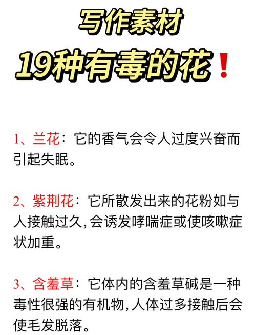 家里这些花,千万别让孩子误食?哪些花放在家里有毒?-第5张图片-优品飞百科 家里这些花,千万别让孩子误食?哪些花放在家里有毒?-第5张图片-优品飞百科
