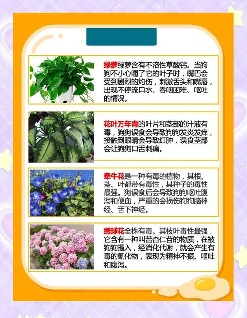 家里这些花,千万别让孩子误食?哪些花放在家里有毒?-第8张图片-优品飞百科 家里这些花,千万别让孩子误食?哪些花放在家里有毒?-第8张图片-优品飞百科