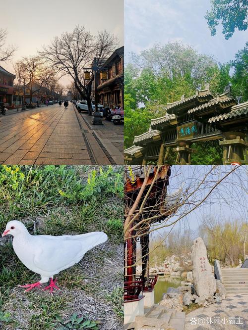 潍坊市奎文区天气预报，潍坊市奎文区天气预报下载？-第4张图片-优品飞百科