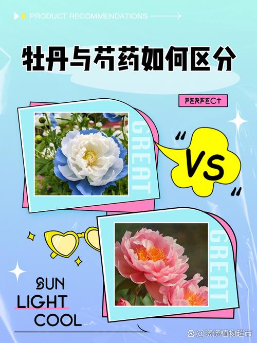 芍药和牡丹的区别，牡丹图片，芍药和牡丹什么区别-第3张图片-优品飞百科