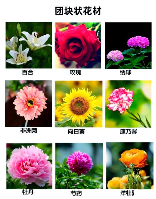 火炬花有毒吗，可以家养吗，火炬花好养吗-第3张图片-优品飞百科