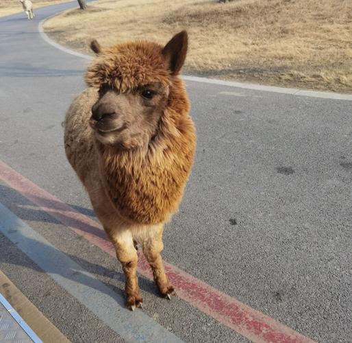 南通市天气预报，江苏天气预报7天准确一览表？-第1张图片-优品飞百科