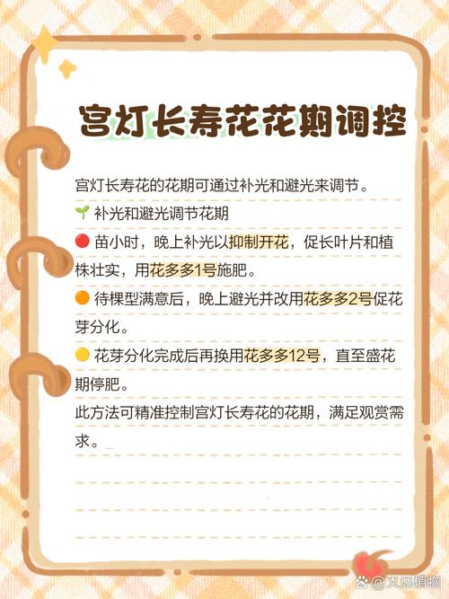 宫灯长寿的养殖方法和注意事项，宫灯长寿的养护？
