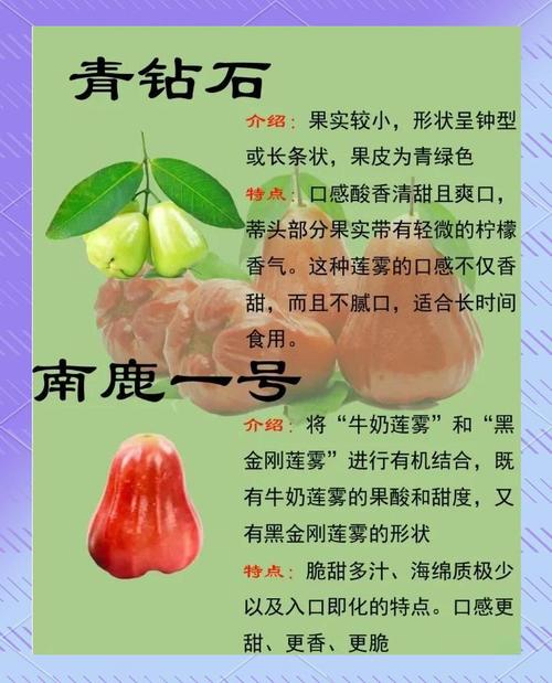 莲雾直接吃好不好，莲雾是直接吃么？-第3张图片-优品飞百科