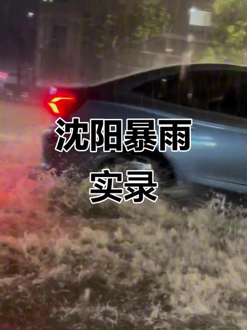 沈阳和平区天气情况查询？沈阳市和平区天气预报今天的实景图？-第3张图片-优品飞百科