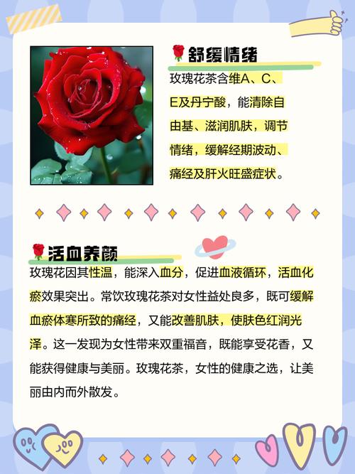 玫瑰花的功效，玫瑰花的图片，玫瑰花的功效,玫瑰花的图片是什么