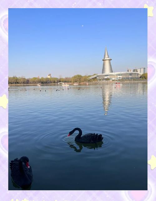 郑州金水区天气预报15天查，郑州金水区实时天气预报-第2张图片-优品飞百科