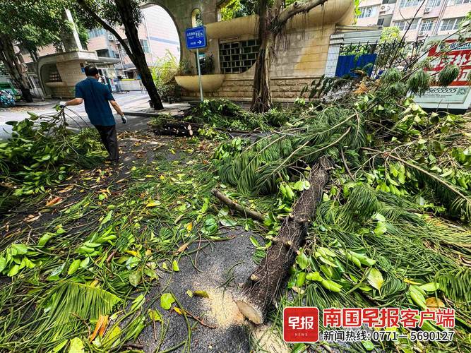 南宁西乡塘区天气预报,南宁西乡塘区天气预报15天气报气-第3张图片-优品飞百科 南宁西乡塘区天气预报,南宁西乡塘区天气预报15天气报气-第3张图片-优品飞百科